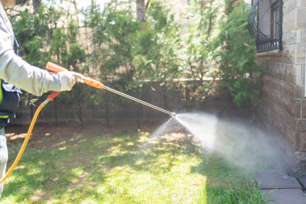 Best Pest Exclusion Services  in South Pasadena, FL